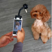 Selfie Stick for Pets Dog Cat fit iPhone Samsung and Most Smartphone Black