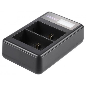 Professional DUAL NP-BX1 USB charger w LED display